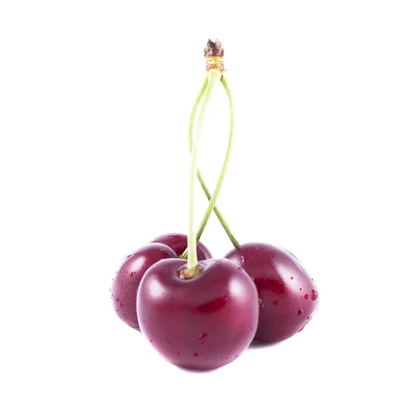 Three ripe cherries on a white background — Stock Photo, Image