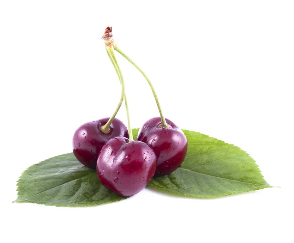 Three ripe cherries lie on a green leaf — Stock Photo, Image