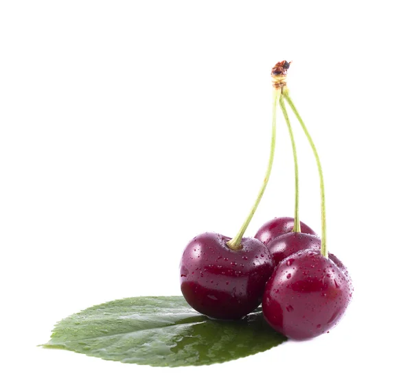 Tres cerezas maduras yacen sobre una hoja verde — Foto de Stock