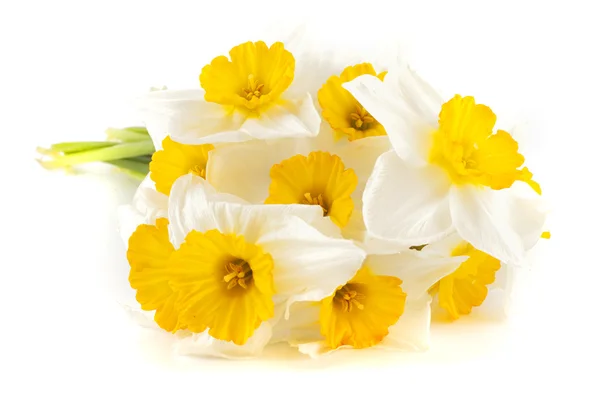 Buquê de Daffodils — Fotografia de Stock