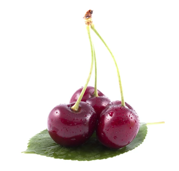 Tres cerezas con hoja verde sobre fondo blanco — Foto de Stock