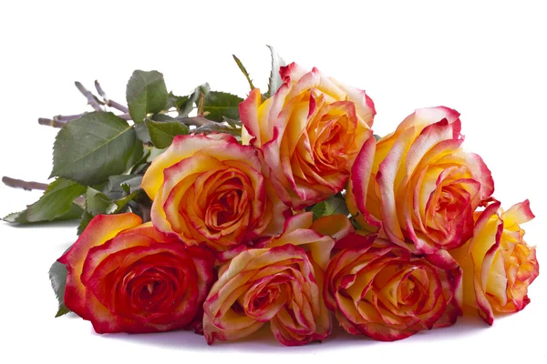 Bouquet of Roses — Stock Photo, Image