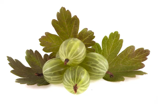 Mogna krusbär med gröna blad isolerad på vit bakgrund — Stockfoto