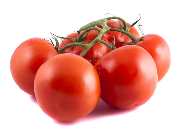 成熟的红番茄，在白色背景上的分支 — 图库照片