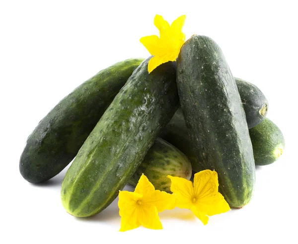 A bunch of cucumbers with yellow flowers on a white background — Stock Photo, Image