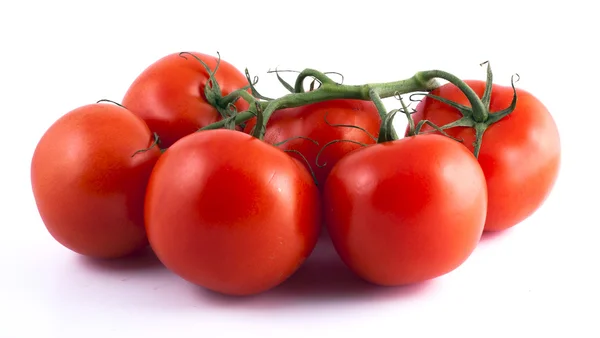 鲜嫩的成熟的红番茄，在白色背景上 — 图库照片