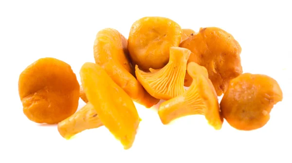 Champignons Chanterelle isolés sur fond blanc — Photo