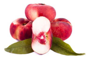 Şeftali yeşil incir yaprağı, beyaz bir arka plan üzerinde izole