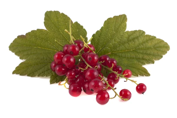 Rote Johannisbeeren mit grünen Blättern, isoliert auf weißem Hintergrund — Stockfoto