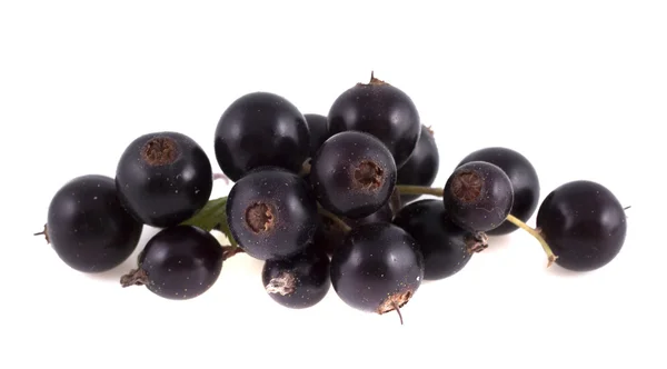 Baies de cassis aux feuilles vertes, isolées sur fond blanc — Photo