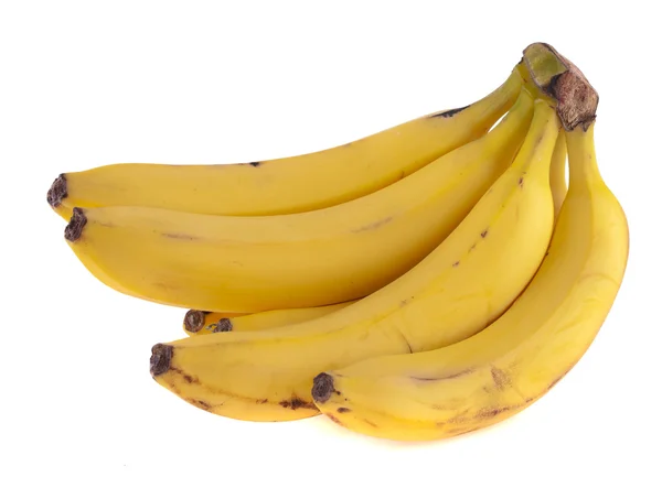 Caule de bananas — Fotografia de Stock