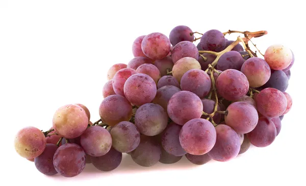 Grappolo di uva rossa isolato su fondo bianco — Foto Stock