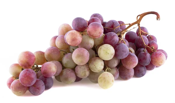 Bunch of red grapes isolated on white background — Stock Photo, Image