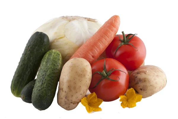 Verse groenten op witte achtergrond — Stockfoto