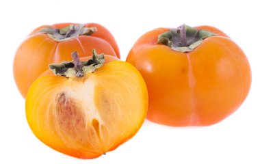 beyaz arkaplanda izole edilmiş olgun hurma ağaçları