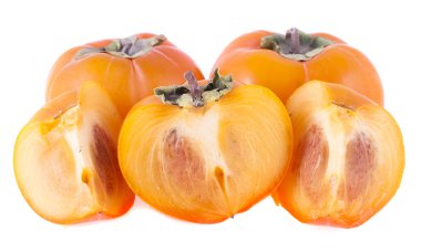 beyaz arkaplanda izole edilmiş olgun hurma ağaçları