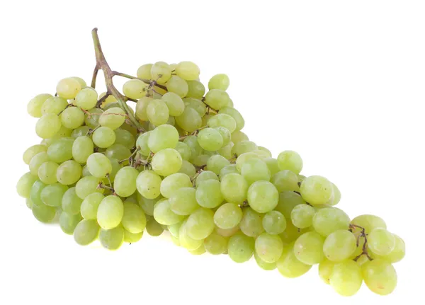 Ramo de uvas verdes, aisladas sobre fondo blanco — Foto de Stock