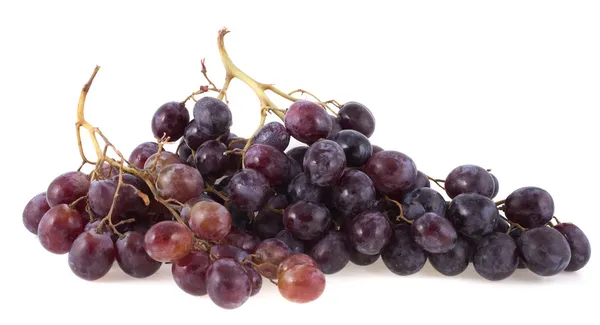 Bunch van rode druiven geïsoleerd op witte achtergrond — Stockfoto