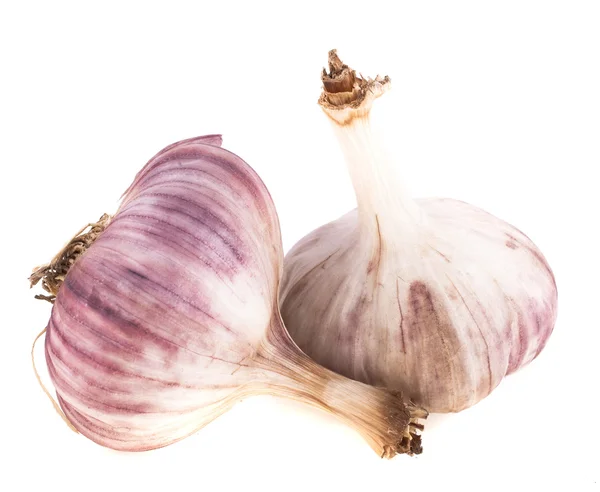 Garlic on a white background — Stock Photo, Image