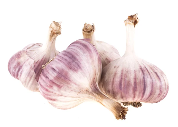 Garlic on a white background — Stock Photo, Image