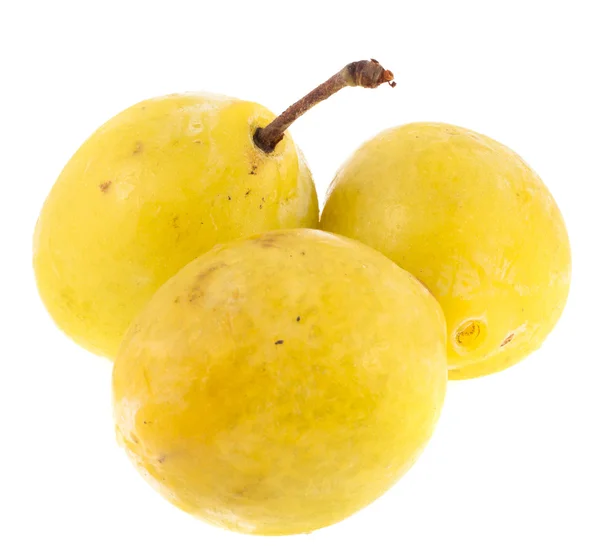 Yellow plums on a white background — Stock Photo, Image