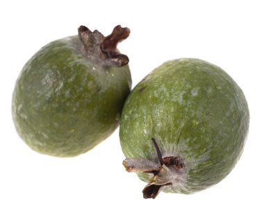 feijoa beyaz arkaplanda izole edildi