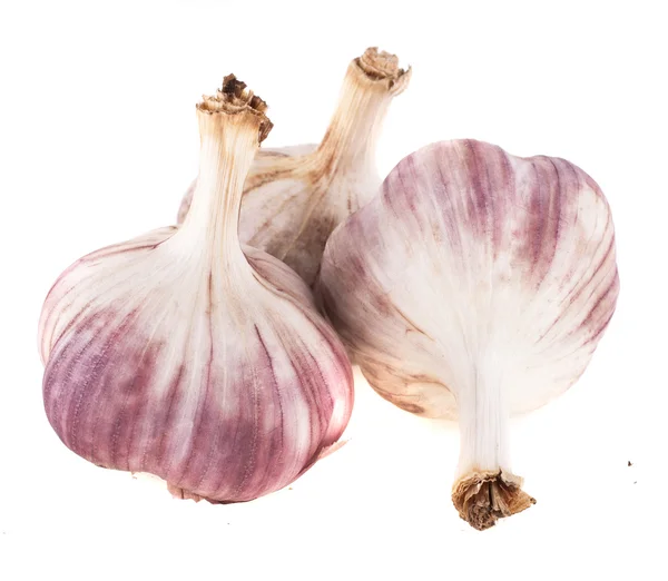 Garlic isolated on white background — Stock Photo, Image