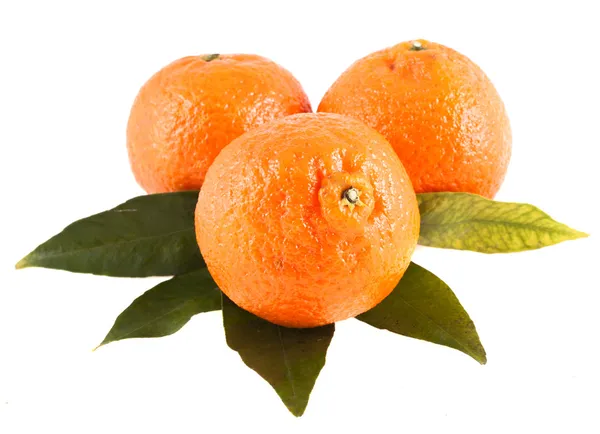 Mandarinky, izolovaných na bílém fonemandariny, izolovaných na bílém pozadí — Stock fotografie