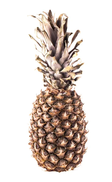 Ananas på vit bakgrund — Stockfoto