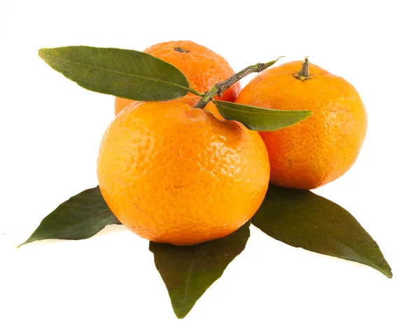 Mandarinas, aisladas sobre fondo blanco — Foto de Stock