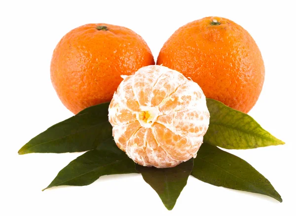 Mandarinky, izolovaných na bílém pozadí — Stock fotografie