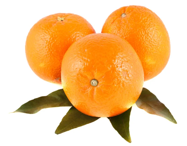 Три апельсина с зелеными листьями выделены на белом фоне — стоковое фото