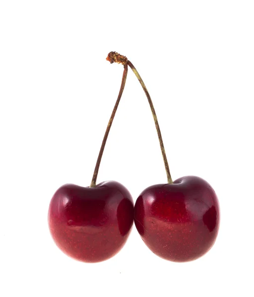 Dos cerezas maduras sobre un fondo blanco — Foto de Stock