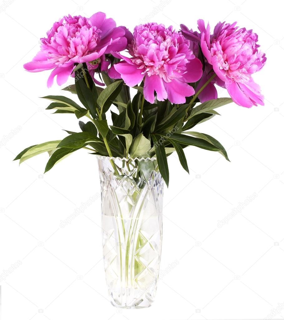 Bouquet of peonies in a crystal vase on a white background