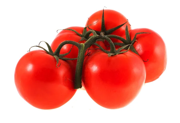 白い背景のトマト — ストック写真