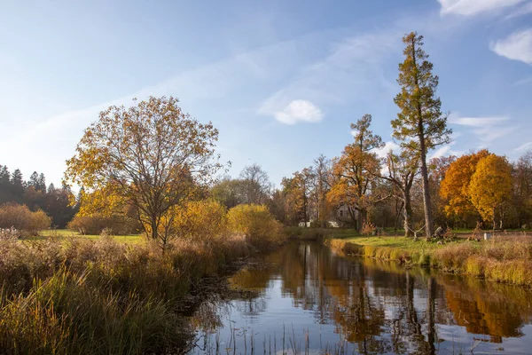 Russland Gebiet Leningrad Demidows Anwesen Taytsy Der Park — Stockfoto