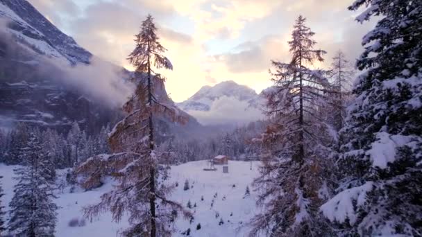 Gentle Flying Views Keresztül Svájci Téli Táj Fák — Stock videók