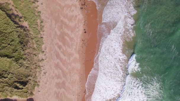 Красивый Уединенный Пляж Высоты Птичьего Полета — стоковое видео