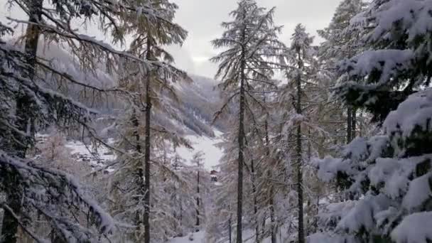 Деревня Таш Швейцарии Зимнем Воздушном Виде — стоковое видео