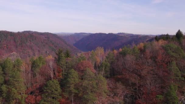 秋のドナウ川ループの一部川の蛇行ベンド — ストック動画