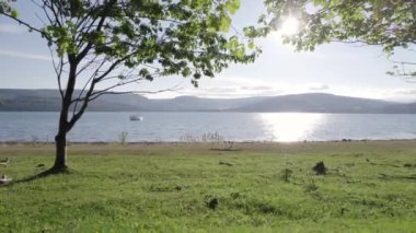 Bir meyve bahçesinden gözlerden uzak bir körfeze bakıyorum.