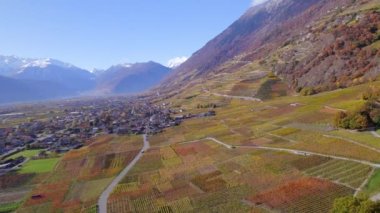 Valais Şarap Bölgesi İsviçre 'nin En Büyük Üzüm ve Şarap Üretim Bölgesi