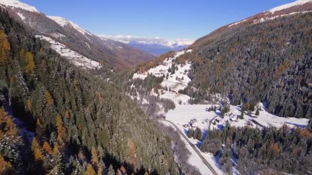 Lasy Górskie Jesienią Szwajcarii — Wideo stockowe