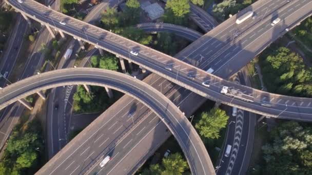 Fahrzeuge Die Auf Einem Spaghetti Autobahnsystem Fahren — Stockvideo