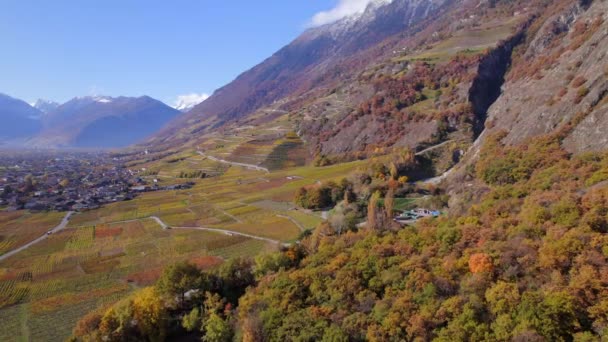 Die Walliser Weinregion Der Schweiz Aus Der Luft — Stockvideo