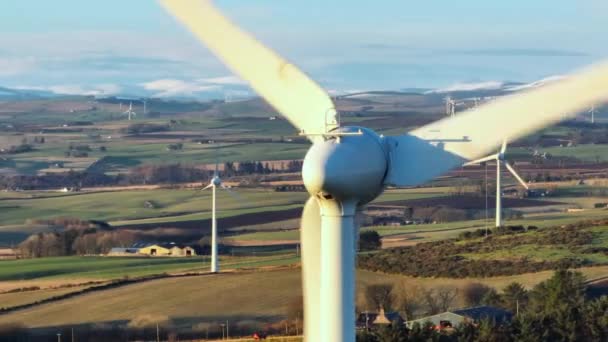 Wind Farm Turbines Sunset Generating Renewable Power — Stock Video