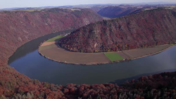 Donauschleife Und Schlogenschleife Ein Riesiger Mäander Gigantischen Fluss — Stockvideo