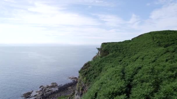 Die Heilige Insel Schottlands Mit Gebirgs Und Küstenlandschaft — Stockvideo