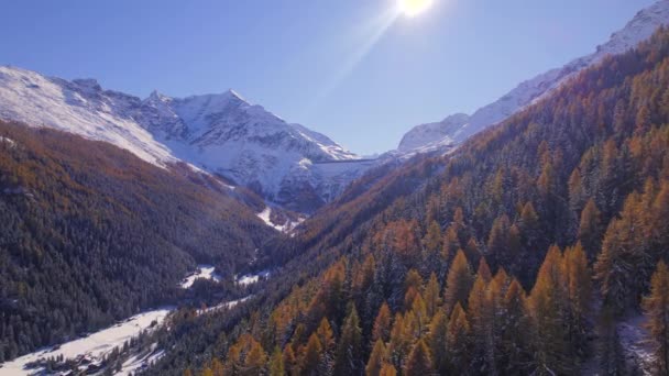 Горные Леса Осенью Швейцарии — стоковое видео