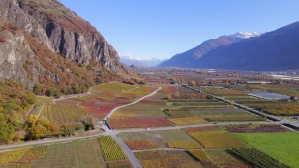 Die Walliser Weinregion Der Schweiz Aus Der Luft — Stockvideo